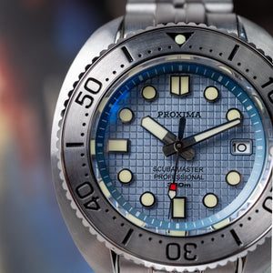 Proxima Turtle Tapisserie Dial Highbeat
