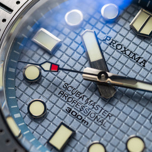 Proxima Turtle Tapisserie Dial Highbeat