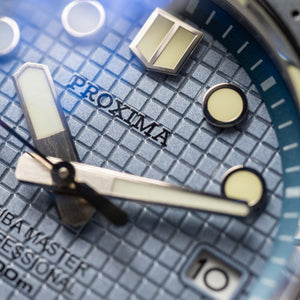 Proxima Turtle Tapisserie Dial Highbeat