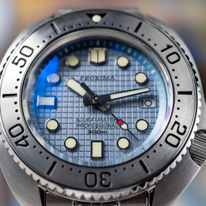 Proxima Turtle Tapisserie Dial Highbeat